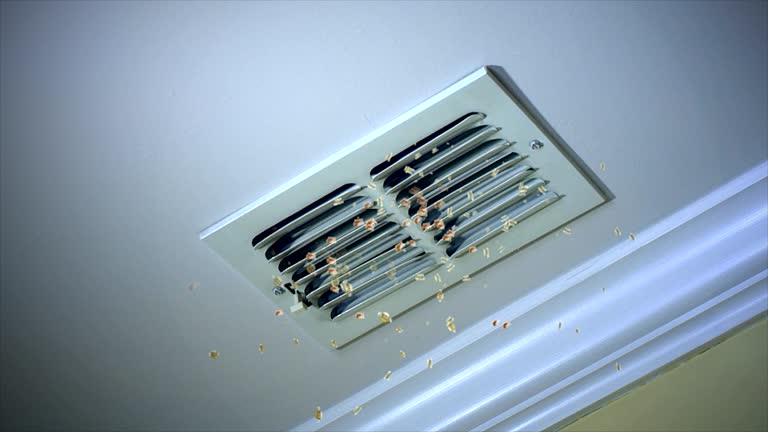 Best Air Duct Cleaning Near Me  in Butler, AL